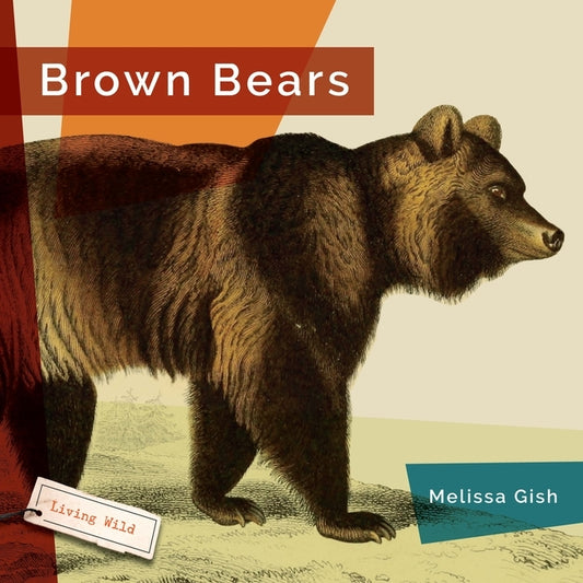 Brown Bears by Gish, Melissa