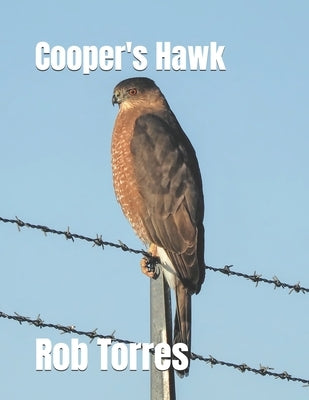 Cooper's Hawk by Torres, Rob