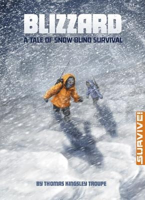 Blizzard: A Tale of Snow-Blind Survival by Fagan, Kirbi