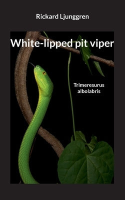 White-lipped pit viper: Trimeresurus albolabris by Ljunggren, Rickard