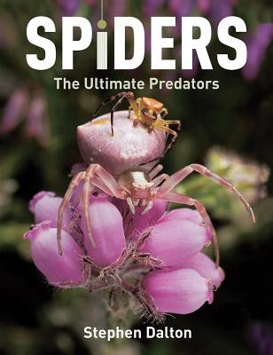 Spiders: The Ultimate Predators by Dalton, Stephen