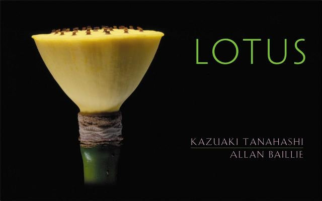 Lotus by Baillie, Allan