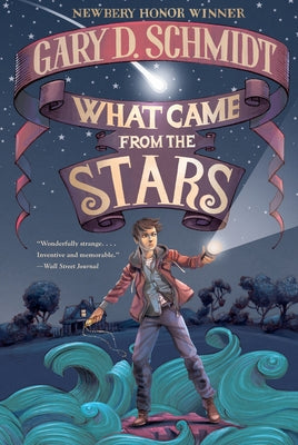 What Came from the Stars by Schmidt, Gary D.