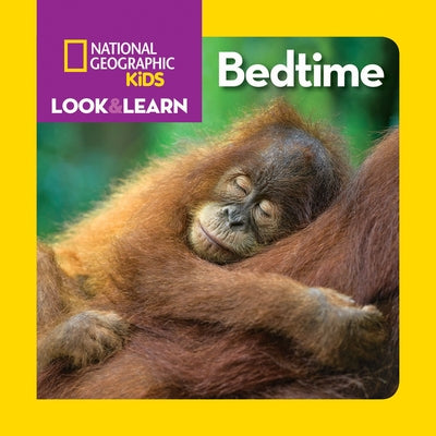 Look & Learn: Bedtime by Musgrave, Ruth