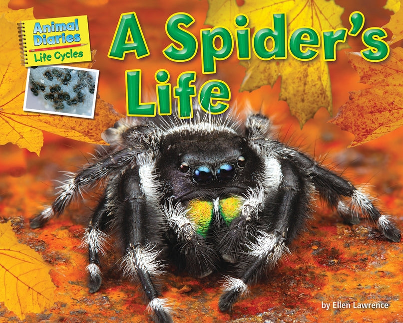 A Spider's Life by Lawrence, Ellen
