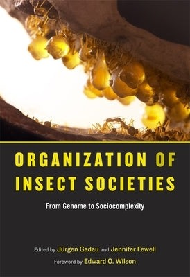 Organization of Insect Societies: From Genome to Sociocomplexity by Gadau, Jurgen