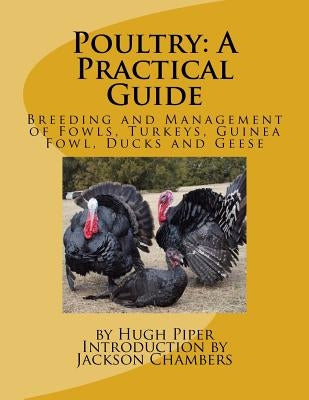 Poultry: A Practical Guide: Breeding and Management of Fowls, Turkeys, Guinea Fowl, Ducks and Geese by Chambers, Jackson
