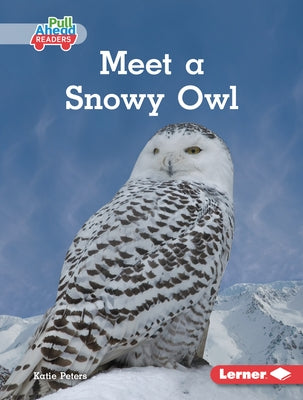 Meet a Snowy Owl by Peters, Katie