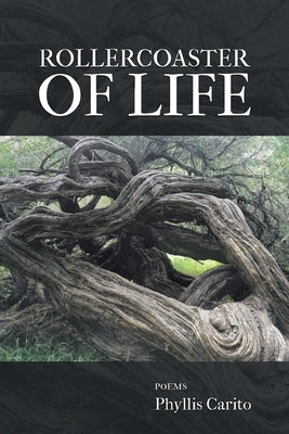 Rollercoaster of Life by Carito, Phyllis