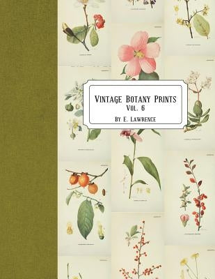 Vintage Botany Prints: Vol. 6 by Lawrence, E.