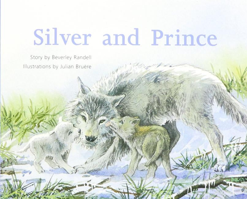 Silver and Prince: Individual Student Edition Silver (Levels 23-24) by Rigby