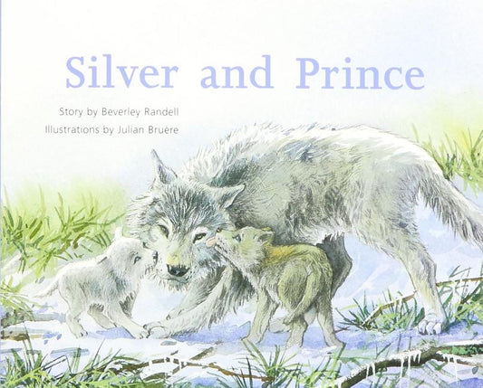 Silver and Prince: Individual Student Edition Silver (Levels 23-24) by Rigby