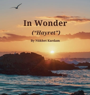 In Wonder ("Hayret") by Kardam, N?khet