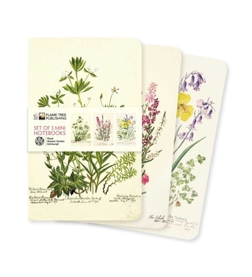 Royal Botanic Garden Edinburgh Set of 3 Mini Notebooks by Flame Tree Studio