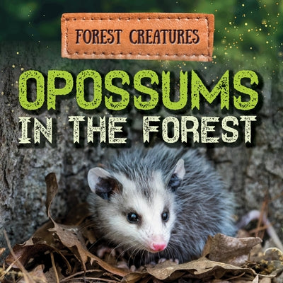 Opossums in the Forest by Washburne, Sophie