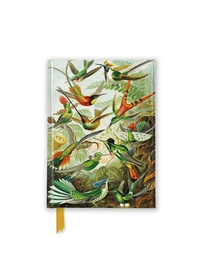 Ernst Haeckel: Hummingbirds (Foiled Pocket Journal) by Flame Tree Studio