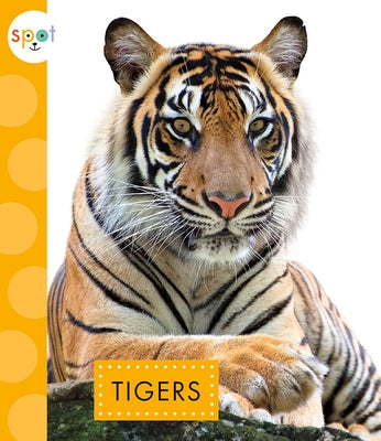 Tigers by Thielges, Alissa