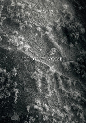Céline Clanet: Ground Noise by Clanet, Celine