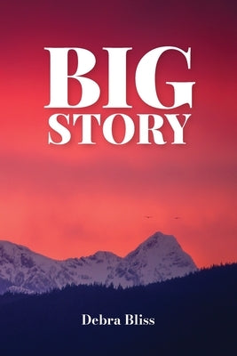 Big Story by Bliss, Debra