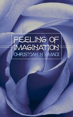 Feeling of Imagination by Amadi, Christian