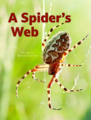 A Spider's Web by DuFresne, Michele