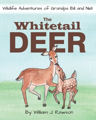 The Whitetail Deer by Rawson, William J.