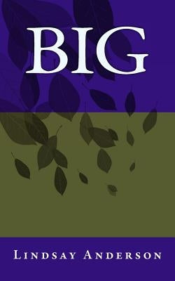 Big by Anderson, Lindsay