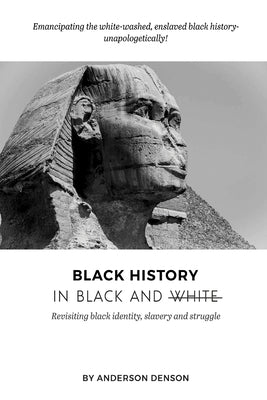 Black History in Black and White: Revisiting Black Identity, Slavery and Struggle by Denson, Anderson