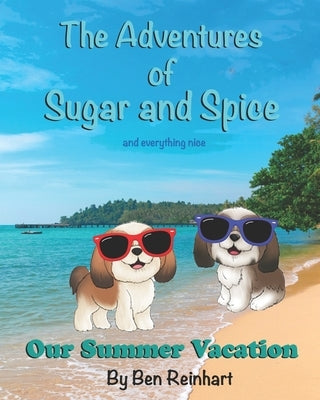 Our Summer Vacation by Reinhart, Ben