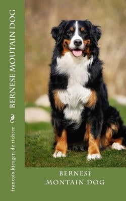 bernese moutain dog by Francois Kiesgen De Richter