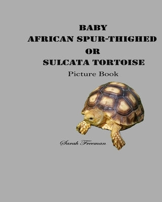 Baby African Spur-Thighed or Sulcata Tortoise Picture Book by Freeman, Sarah
