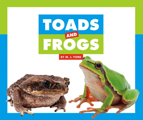 Toads and Frogs by York, M. J.