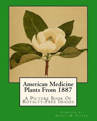 American Medicine Plants From 1887: A Picture Book Of Royalty-Free Images by Foster, Angela M.