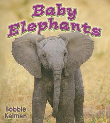 Baby Elephants by Kalman, Bobbie