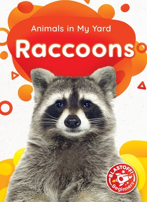 Raccoons by McDonald, Amy