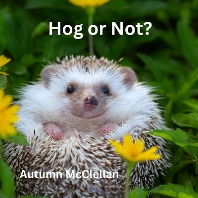 Hog or Not? by McClellan, Autumn