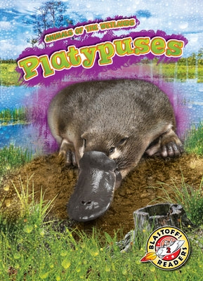 Platypuses by Kenney, Karen