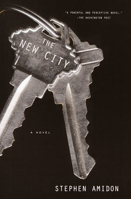 The New City by Amidon, Stephen