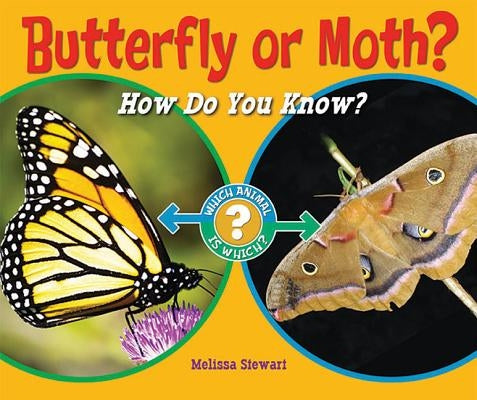Butterfly or Moth?: How Do You Know? by Stewart, Melissa