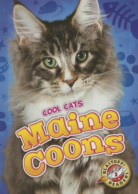 Maine Coons by Felix, Rebecca
