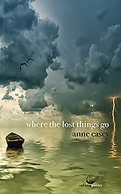 Where the Lost Things Go by Casey, Anne