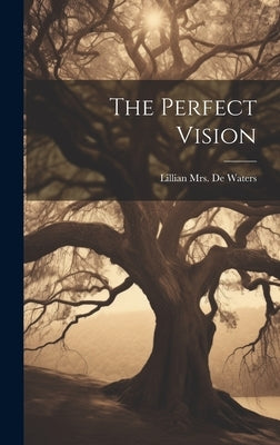 The Perfect Vision by de Waters, Lillian (Stephenson) Mrs