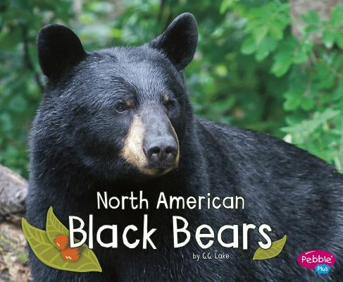 North American Black Bears by Lake, G. G.