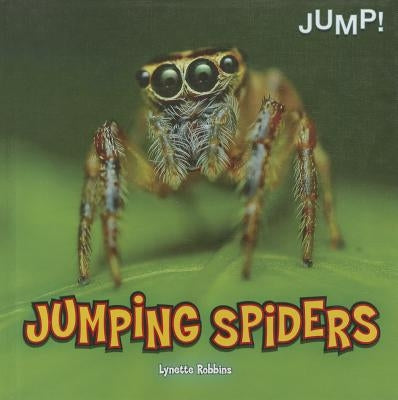 Jumping Spiders by Robbins, Lynette