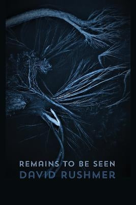 Remains to Be Seen by Rushmer, David