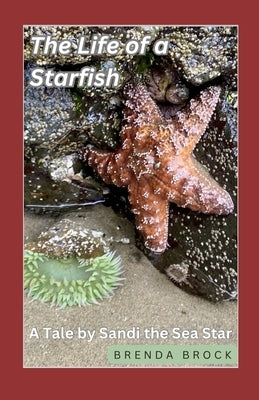 Life of a Starfish: A Tale by Sandi the Sea Star by Brock, Brenda