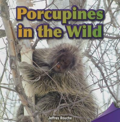 Porcupines in the Wild by Rouche, Jeffrey