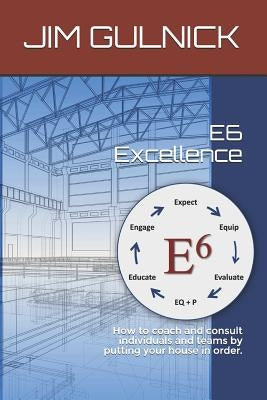 E6 Excellence: How to Coach and Consult Individuals and Teams by Putting Your House in Order. by Guevara, Lisett