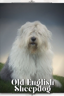 Old English Sheepdog: Dog breed overview and guide by Pustova, Nina