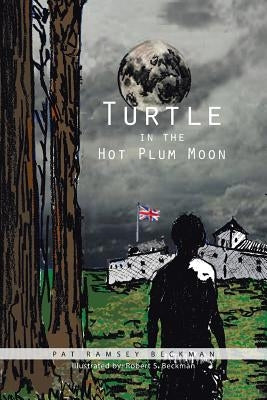 Turtle in the Hot Plum Moon by Beckman, Pat Ramsey